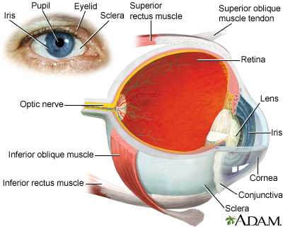 Eye Eye