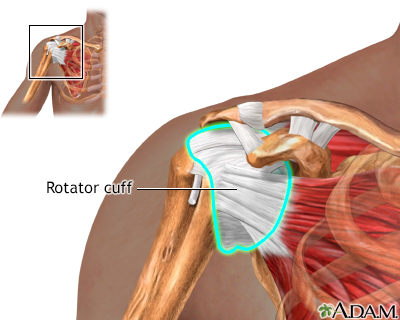 Normal anatomy Normal anatomy