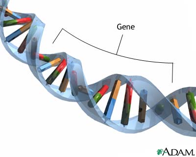 Genes Genes